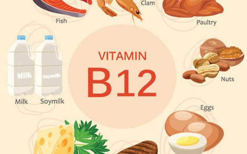 Ăn gì tốt cho tinh trùng có chứa Vitamin B12?
