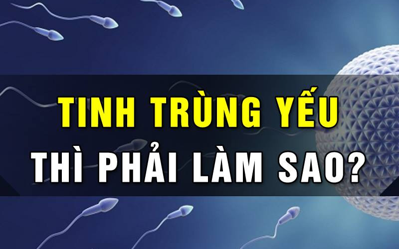 Nguyên nhân làm tinh trùng suy yếu