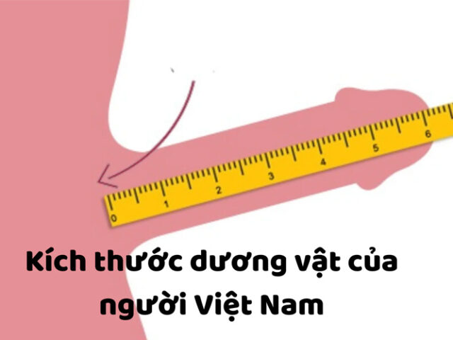 chiều dài trung bình của cậu bé