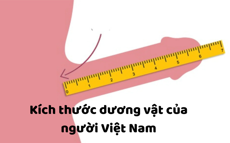 chiều dài trung bình của cậu bé