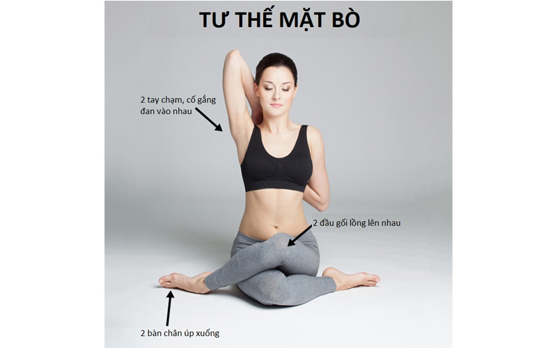 Tư thế yoga tăng vòng 1 hình mặt bò