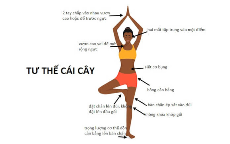 Tư thế cái cây - Bài tập Yoga tăng vòng 1 hiệu quả nhất